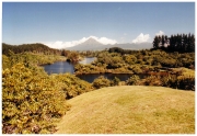 05 - Mt Egmont (1)